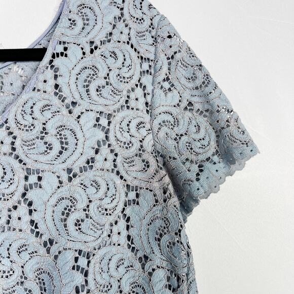 Zara Cropped Lace Short Sleeve Sheer Blouse Top Blue Small Scoop Neck Scoop Back - Picture 7 of 9